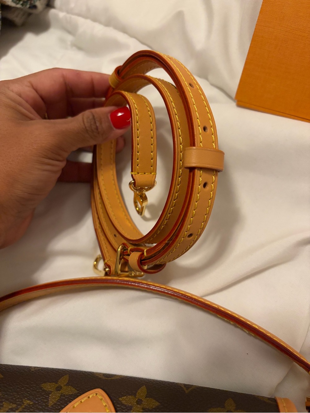 Louis Vuitton Monogram Nano Diane - Picture 11 of 13